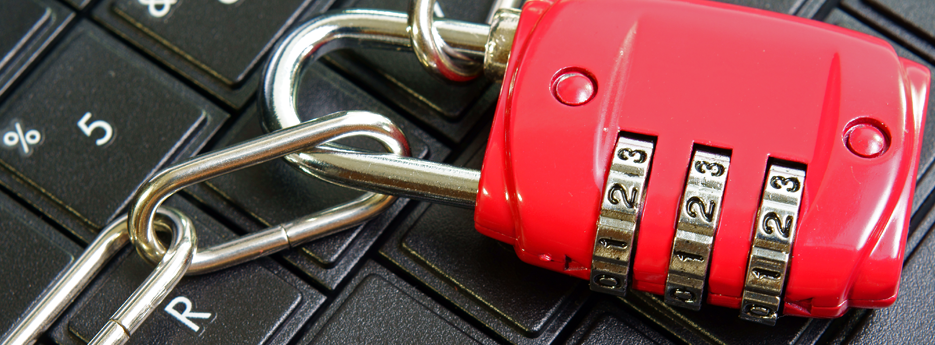 Fraud-Prevention-vertoz