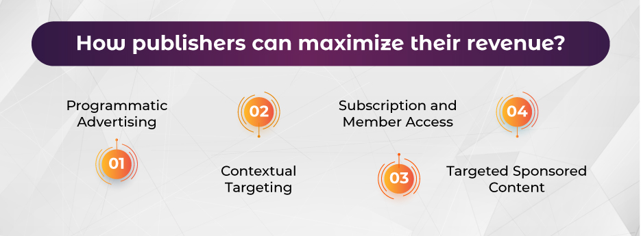 helping-niche-publishers-thrive-monetization-strategies-for-2025-inside